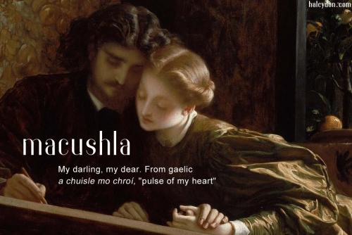 macushla definition: Irish mo chuisle my pulse, my heartbeat (apparently already in Early Irish) < mo my + cuisle pulse, beat (see acushla n.).  Frederic Leighton, 1st Baron Leighton: The Painter's Honeymoon